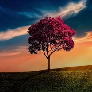 Meet your Posher, Ahmed